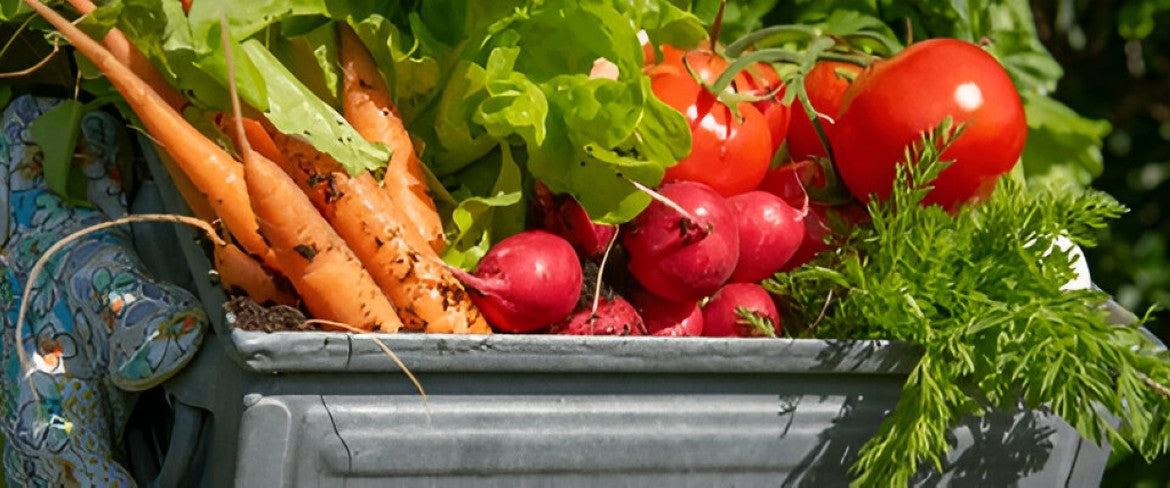 Why Homegrown Vegetables are a Game-Changer for Your Garden and Health